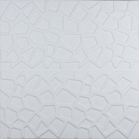 Самоклеюча 3D панель біла павутинка 700x700x8мм