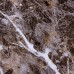 Самоклеюча вінілова плитка 600*300*1,5мм (СВП-109 глянець)